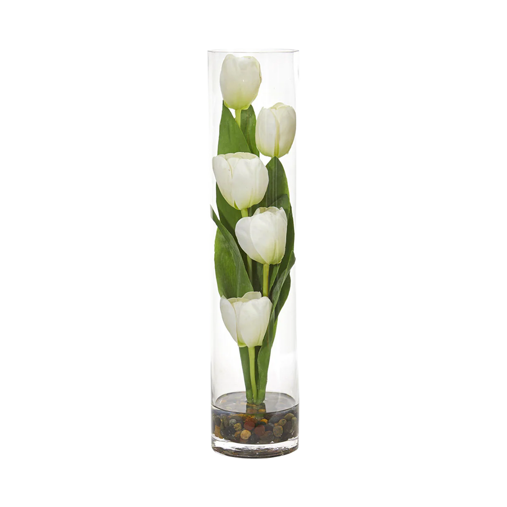 18 Tulipe Sonata Blanche