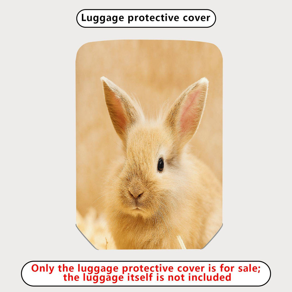 1-Piece Cute Bunny Animal Nature Beige Soft  Suitcase Luggage Cover, Stretch Protective Sleeve