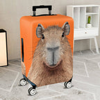 1-Piece Orange Capybara Animal Fun Quirky Cute  Suitcase Luggage Cover, Stretch Protective Sleeve