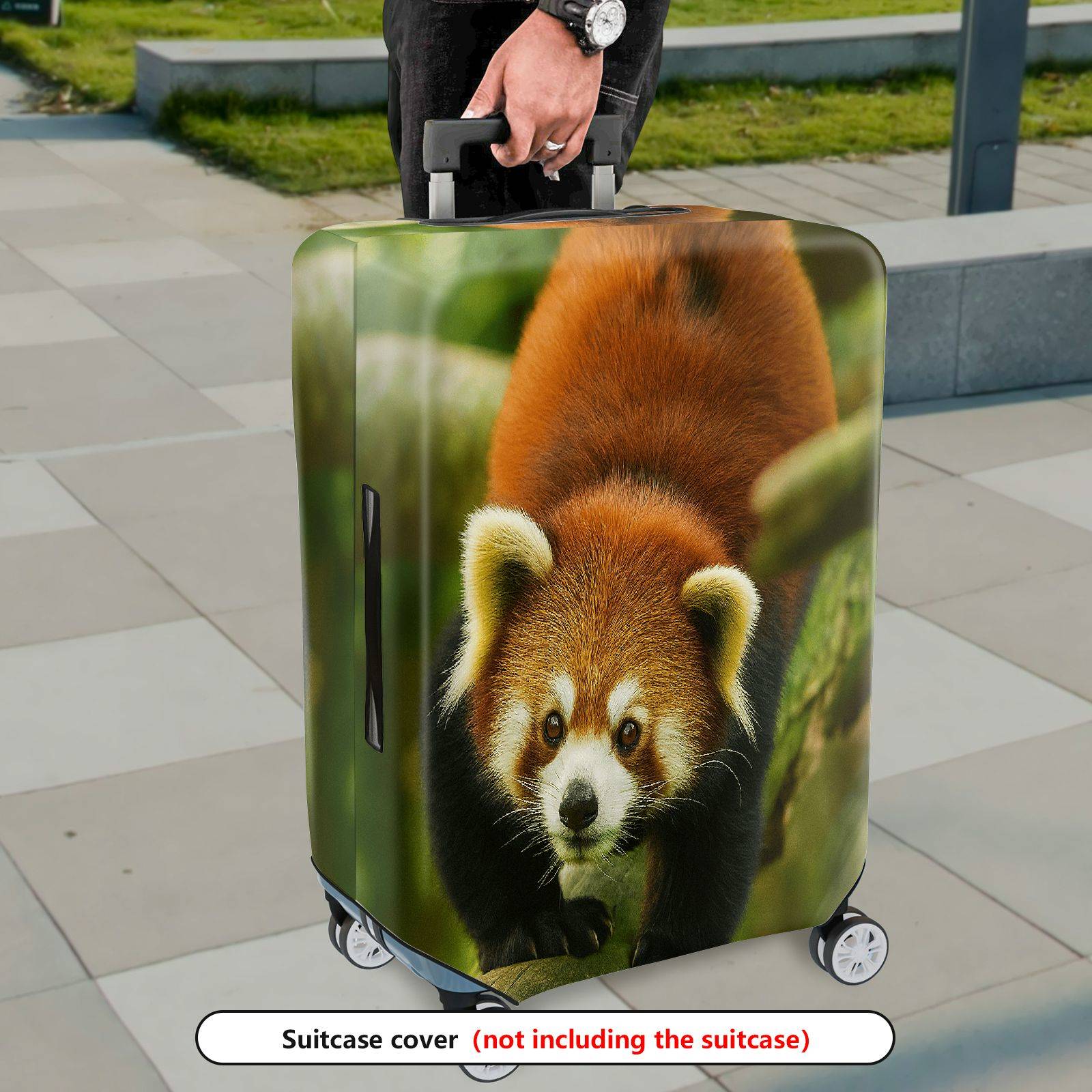 1-Piece Cute Animal Nature Red Panda Wildlife Forest  Suitcase Luggage Cover, Stretch Protective Sleeve