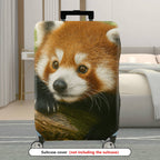 1-Piece Woodland Animal Red Panda Cute Nature Wildlife Forest  Suitcase Luggage Cover, Stretch Protective Sleeve