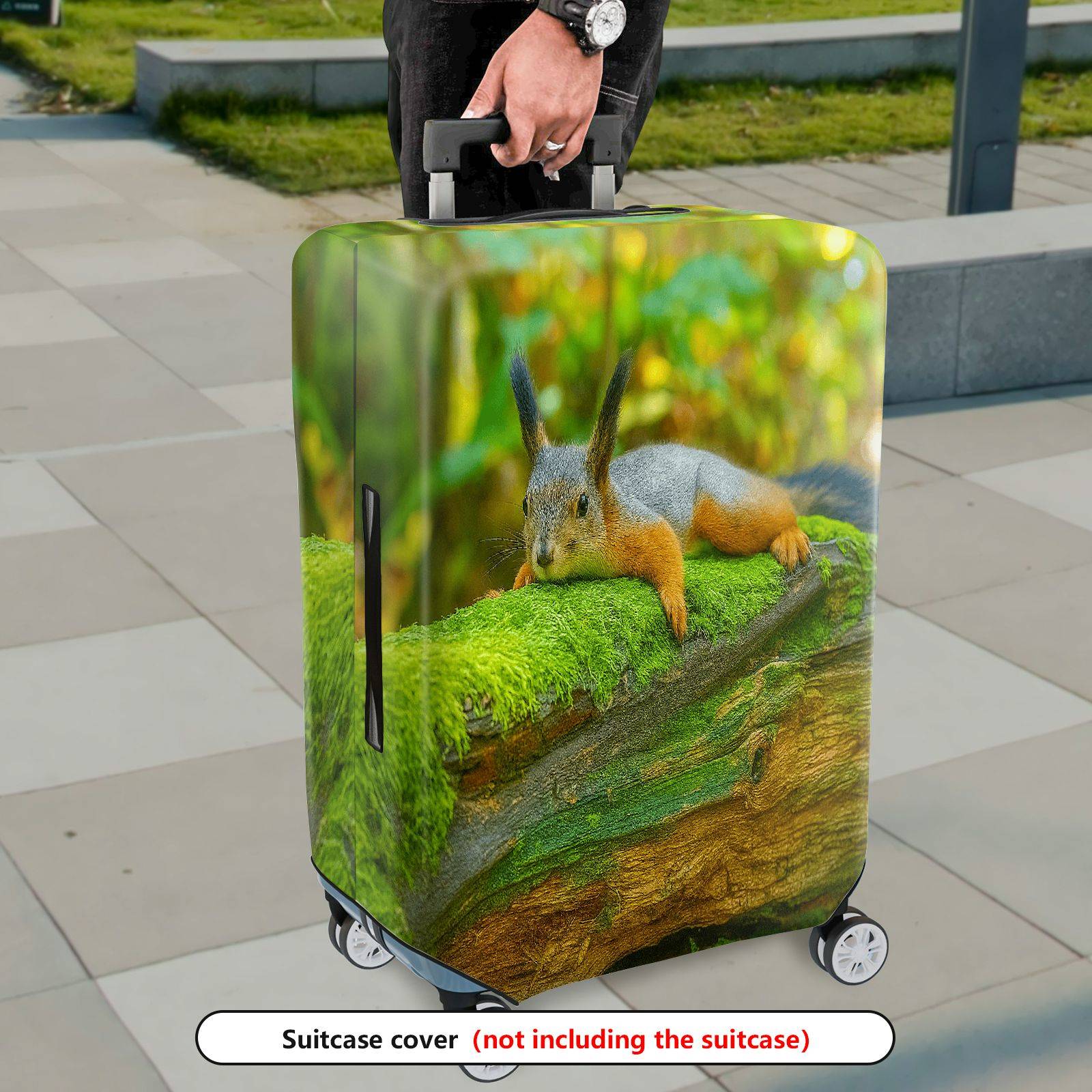 1-Piece Cute Relaxed Squirrel Forest Nature Wildlife  Suitcase Luggage Cover, Stretch Protective Sleeve