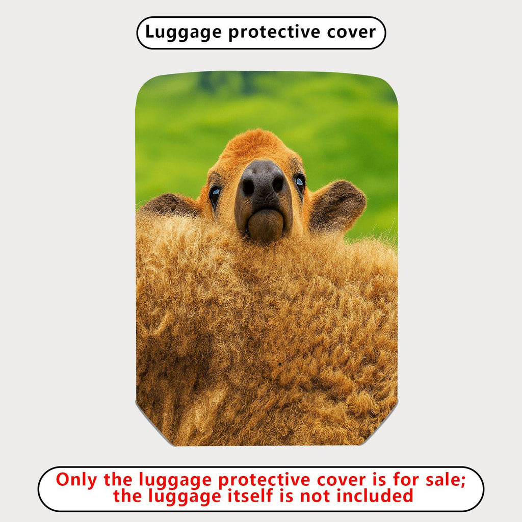 1-Piece Cute Animal Sheep Green Grass Scenic Fun  Suitcase Luggage Cover, Stretch Protective Sleeve