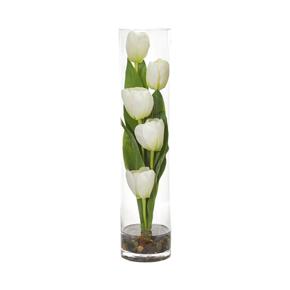 18 Tulipe Sonata Blanche