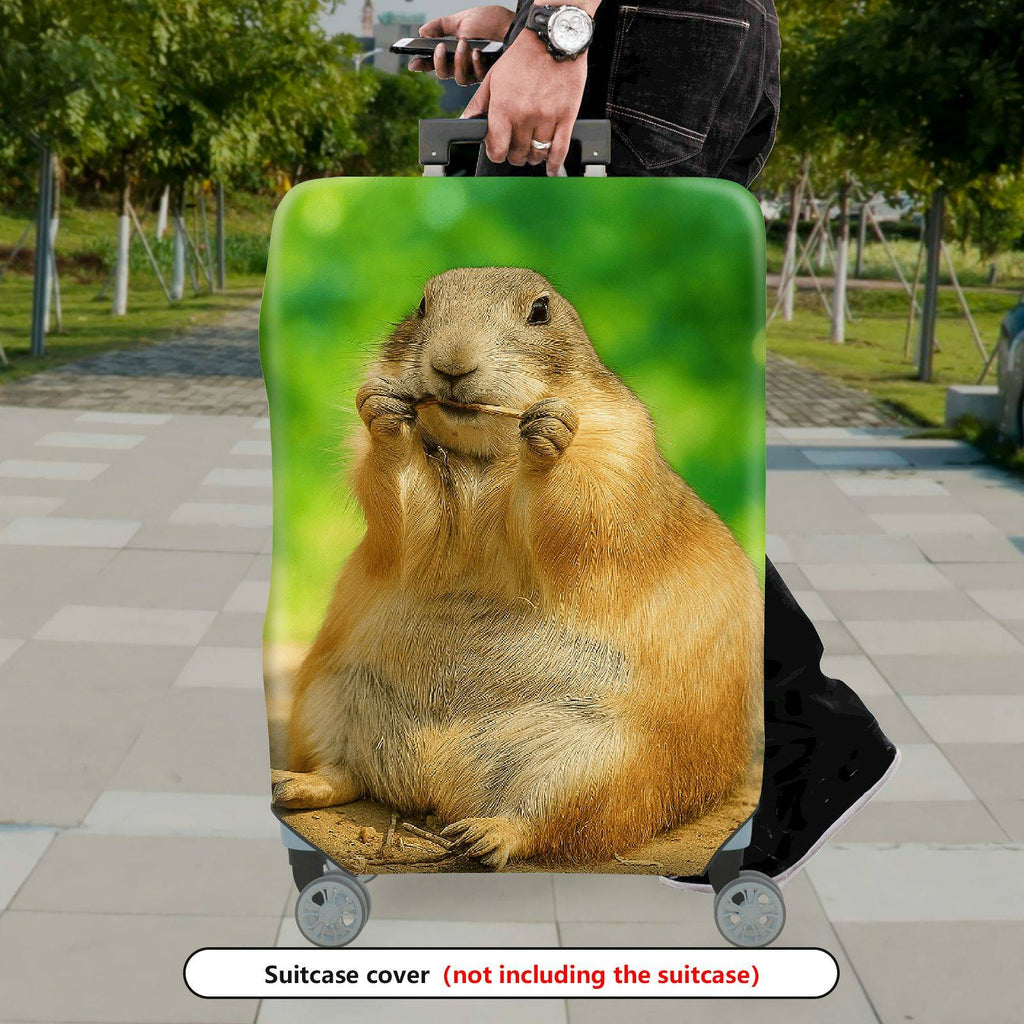 1-Piece Cute Animal Prairie Dog Nature Wildlife Art  Suitcase Luggage Cover, Stretch Protective Sleeve