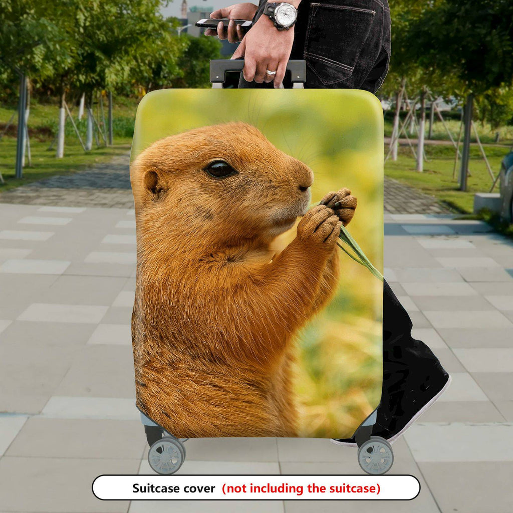 1-Piece Brown Animal Nature Wildlife Cute Prairie Dog  Suitcase Luggage Cover, Stretch Protective Sleeve