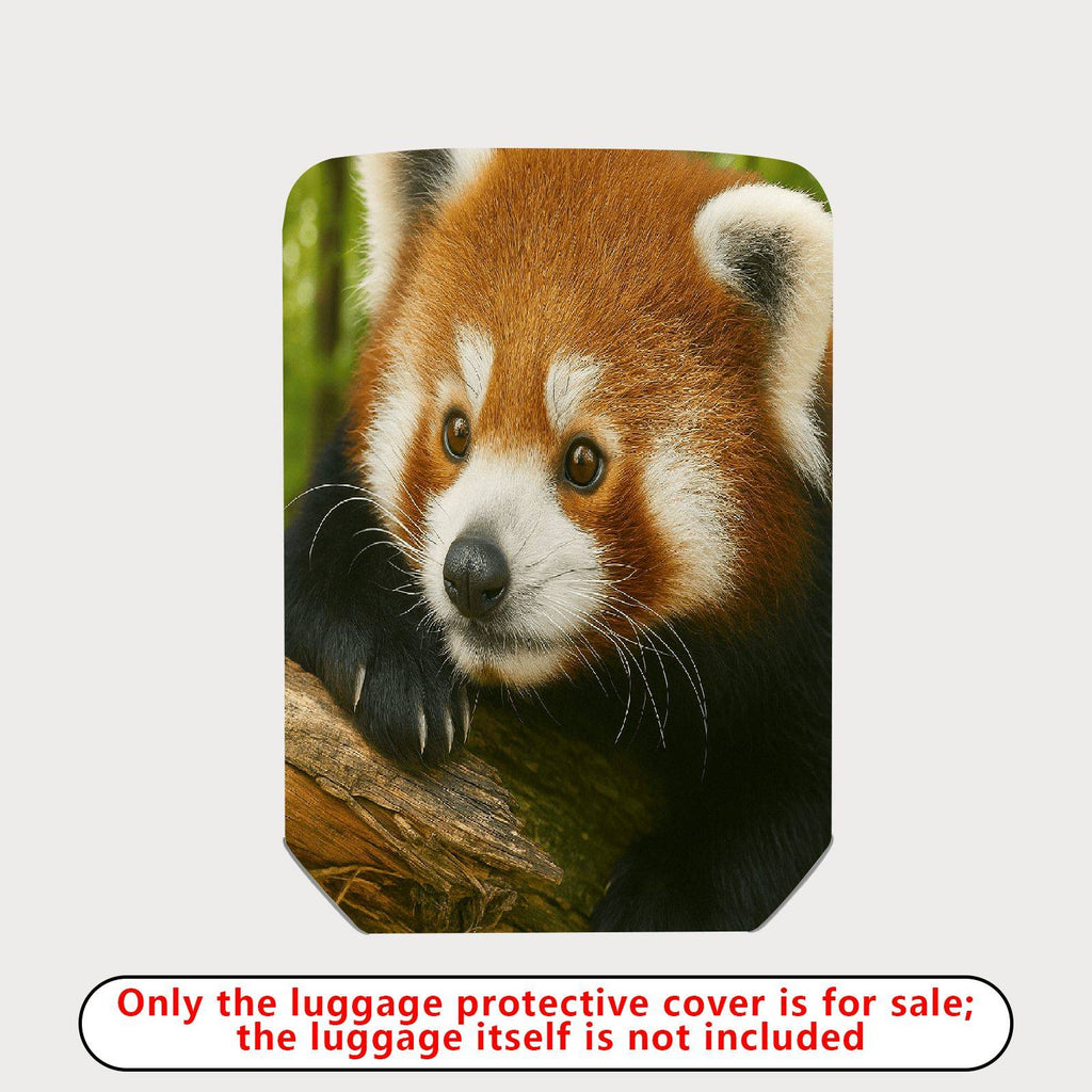 1-Piece Woodland Animal Red Panda Cute Nature Wildlife Forest  Suitcase Luggage Cover, Stretch Protective Sleeve
