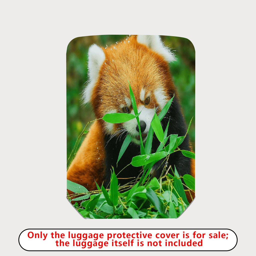 1-Piece Cute Red Panda Bamboo Nature Animal Wildlife  Suitcase Luggage Cover, Stretch Protective Sleeve