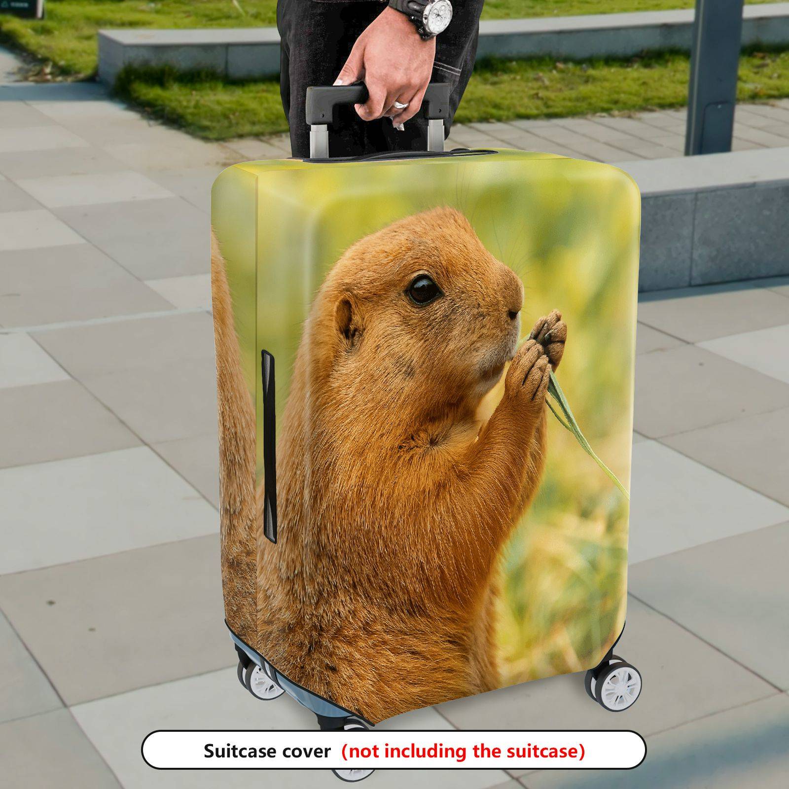 1-Piece Brown Animal Nature Wildlife Cute Prairie Dog  Suitcase Luggage Cover, Stretch Protective Sleeve