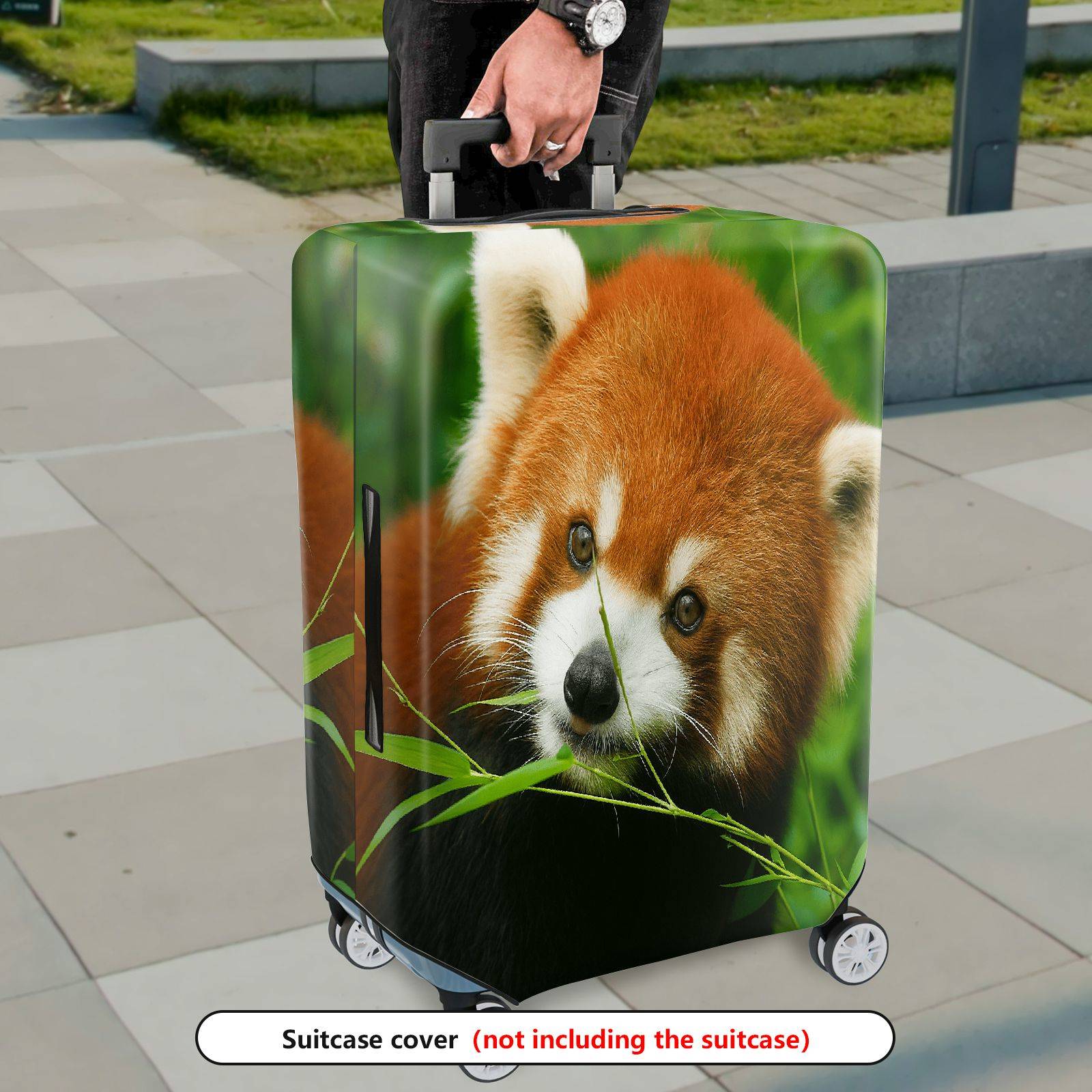 1-Piece Red Panda Nature Animal Wildlife Lush Green Cute  Suitcase Luggage Cover, Stretch Protective Sleeve