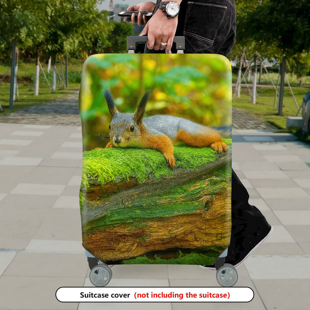 1-Piece Cute Relaxed Squirrel Forest Nature Wildlife  Suitcase Luggage Cover, Stretch Protective Sleeve