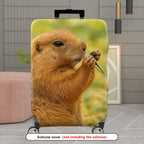 1-Piece Brown Animal Nature Wildlife Cute Prairie Dog  Suitcase Luggage Cover, Stretch Protective Sleeve