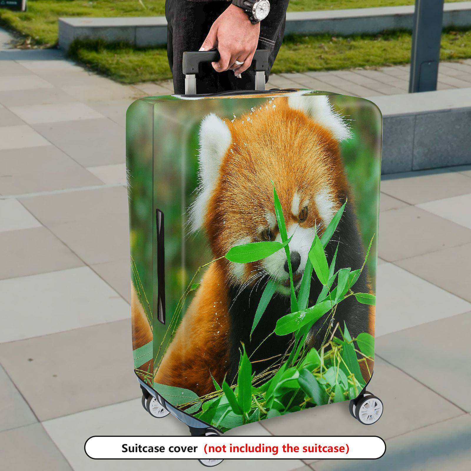1-Piece Cute Red Panda Bamboo Nature Animal Wildlife  Suitcase Luggage Cover, Stretch Protective Sleeve