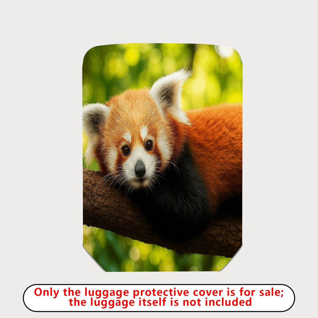 1-Piece Red Panda Animal Nature Wildlife Cute Forest  Suitcase Luggage Cover, Stretch Protective Sleeve