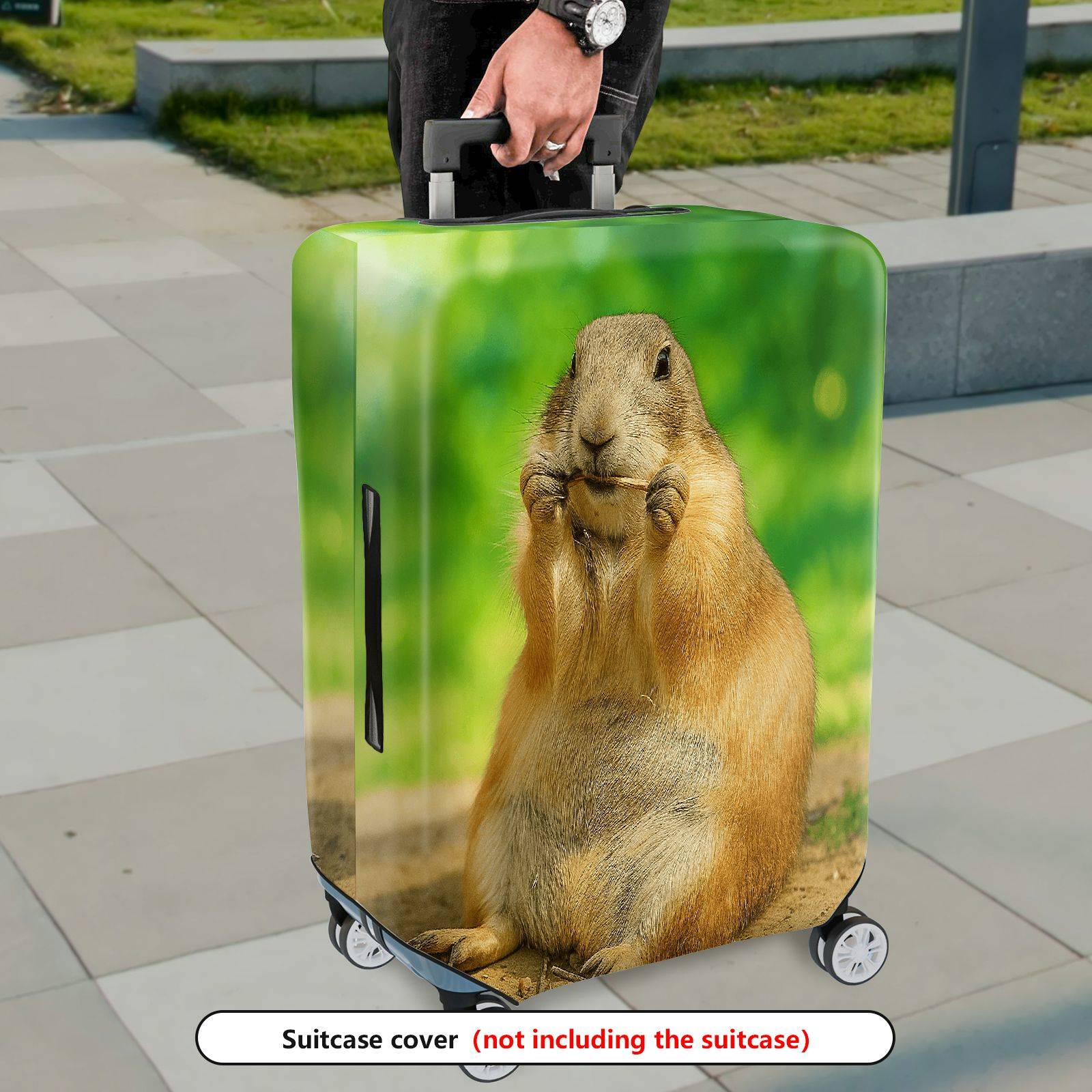 1-Piece Cute Animal Prairie Dog Nature Wildlife Art  Suitcase Luggage Cover, Stretch Protective Sleeve