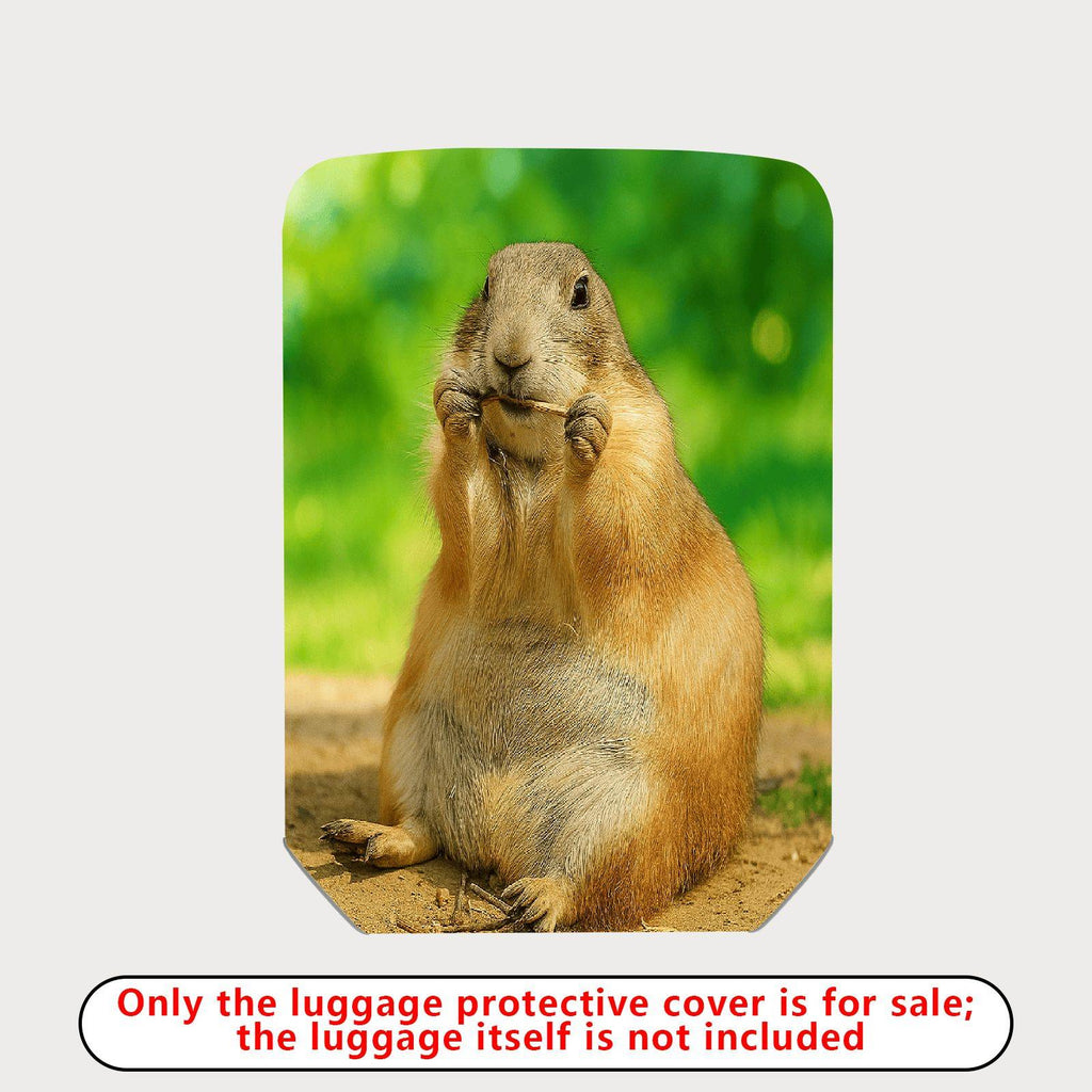 1-Piece Cute Animal Prairie Dog Nature Wildlife Art  Suitcase Luggage Cover, Stretch Protective Sleeve