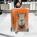 1-Piece Orange Capybara Animal Fun Quirky Cute  Suitcase Luggage Cover, Stretch Protective Sleeve