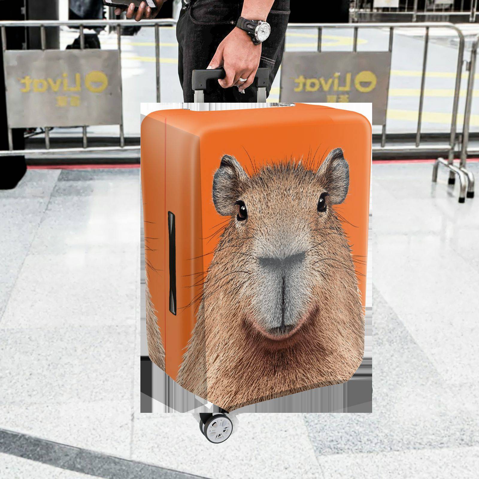 1-Piece Orange Capybara Animal Fun Quirky Cute  Suitcase Luggage Cover, Stretch Protective Sleeve