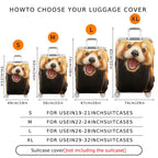 1-Piece Cute Red Panda Animal Fun Cover Happy Travel  Suitcase Luggage Cover, Stretch Protective Sleeve