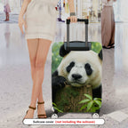 1-Piece Panda Forest Nature Wildlife Cute Animal  Suitcase Luggage Cover, Stretch Protective Sleeve