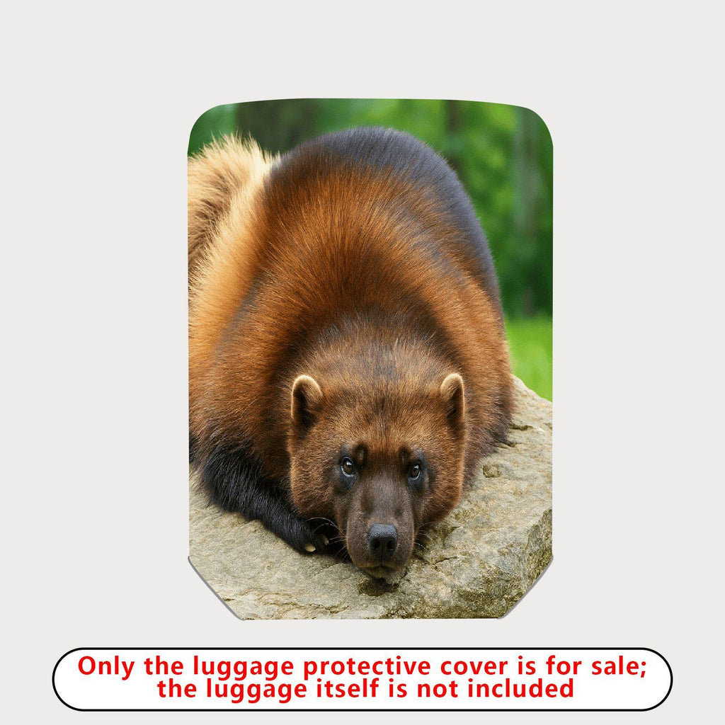 1-Piece Animal Nature Wildlife Forest Cute Wolverine  Suitcase Luggage Cover, Stretch Protective Sleeve