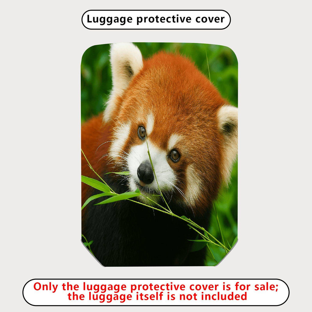 1-Piece Red Panda Nature Animal Wildlife Lush Green Cute  Suitcase Luggage Cover, Stretch Protective Sleeve