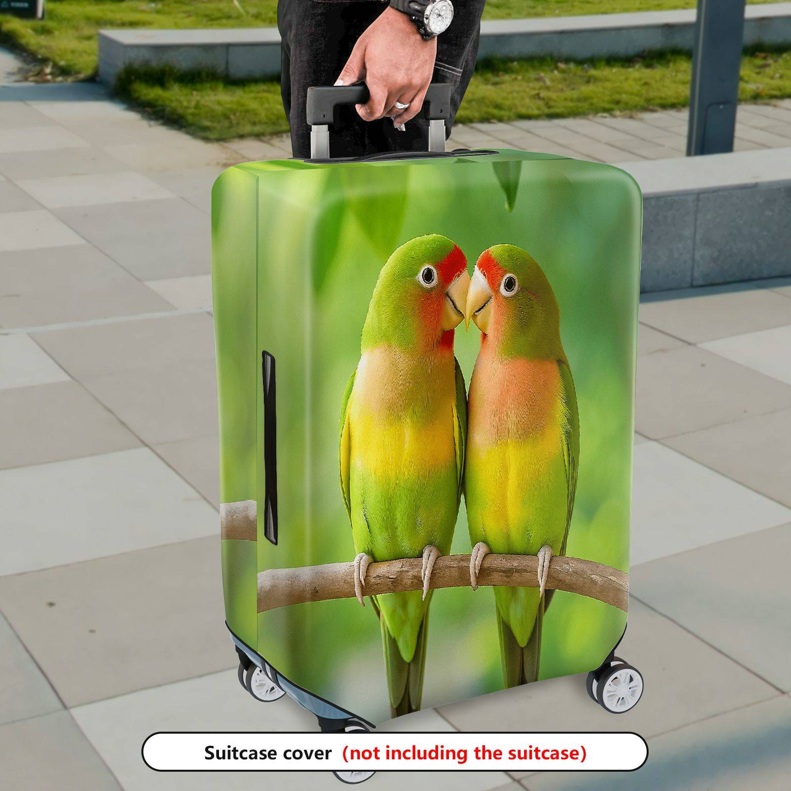 1-Piece Parrot Lovebirds Nature Green Cute Vibrant  Suitcase Luggage Cover, Stretch Protective Sleeve