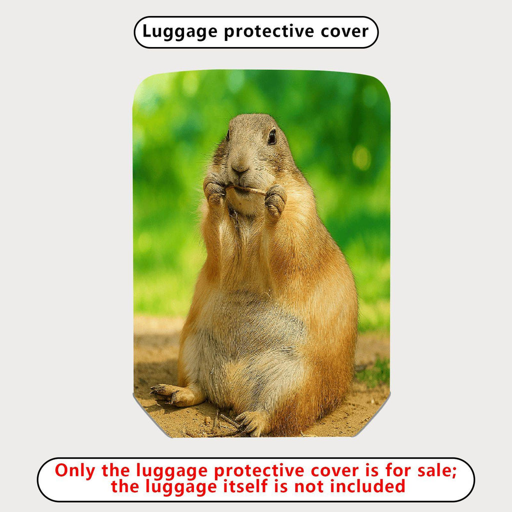 1-Piece Cute Animal Prairie Dog Nature Wildlife Art  Suitcase Luggage Cover, Stretch Protective Sleeve