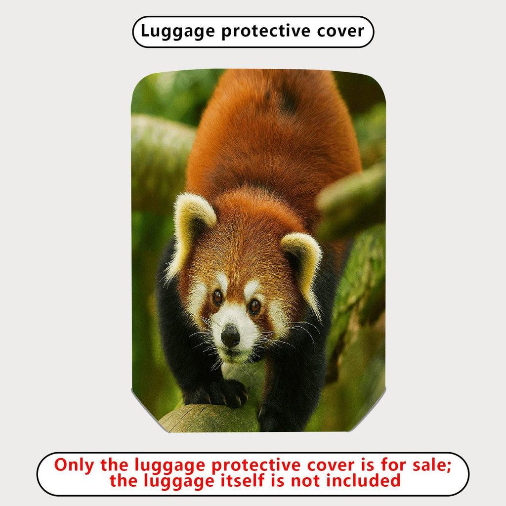 1-Piece Cute Animal Nature Red Panda Wildlife Forest  Suitcase Luggage Cover, Stretch Protective Sleeve