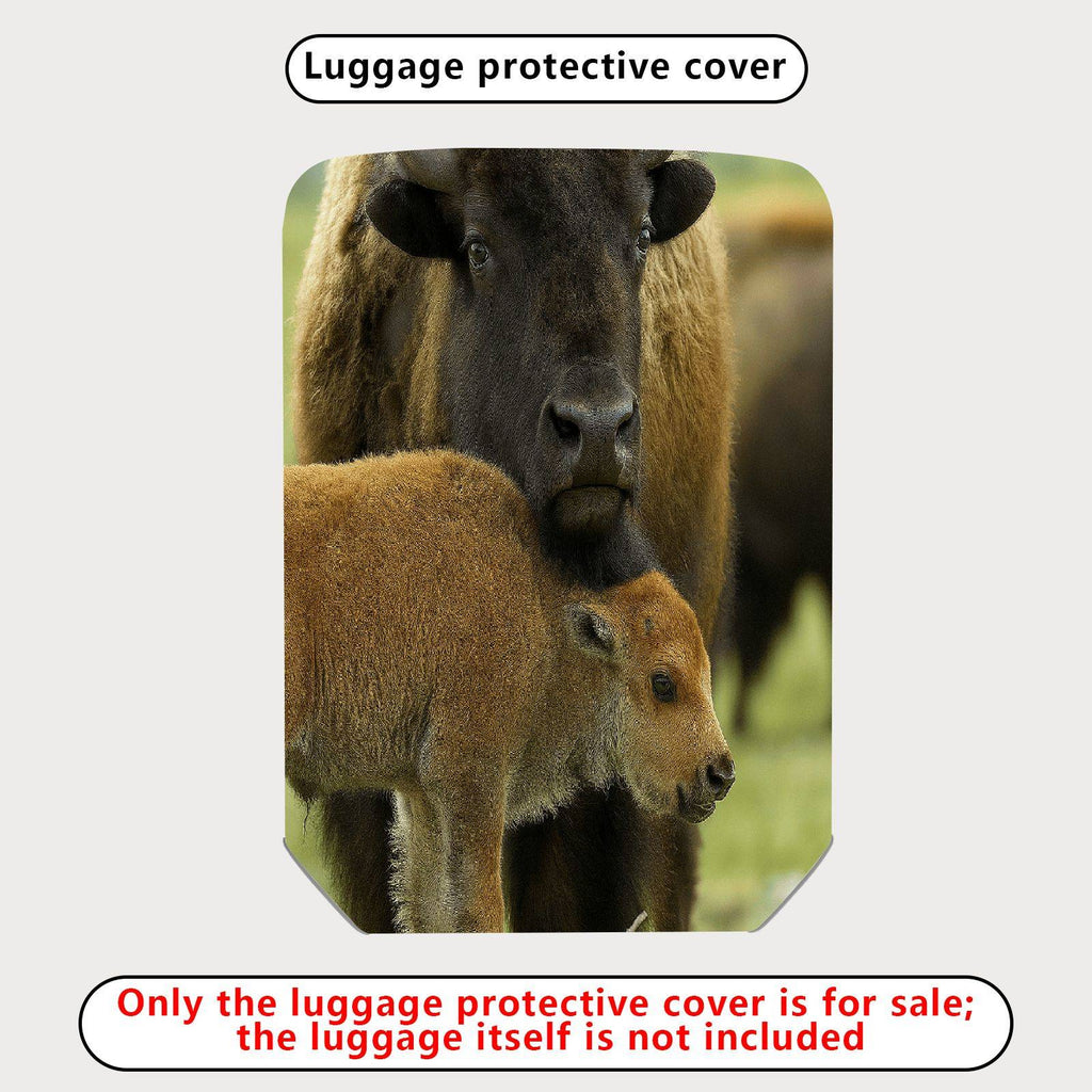 1-Piece Animal Nature Wildlife Family Buffalo Cow Calf  Suitcase Luggage Cover, Stretch Protective Sleeve
