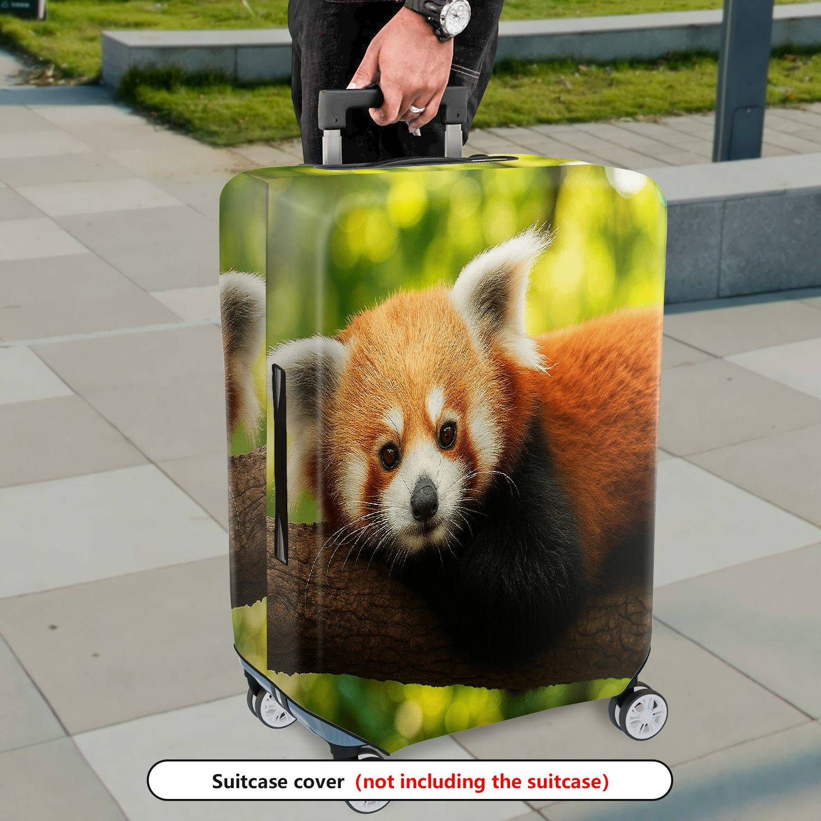 1-Piece Red Panda Animal Nature Wildlife Cute Forest  Suitcase Luggage Cover, Stretch Protective Sleeve