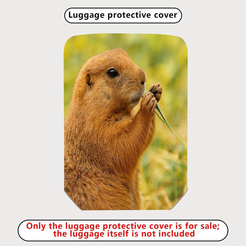 1-Piece Brown Animal Nature Wildlife Cute Prairie Dog  Suitcase Luggage Cover, Stretch Protective Sleeve
