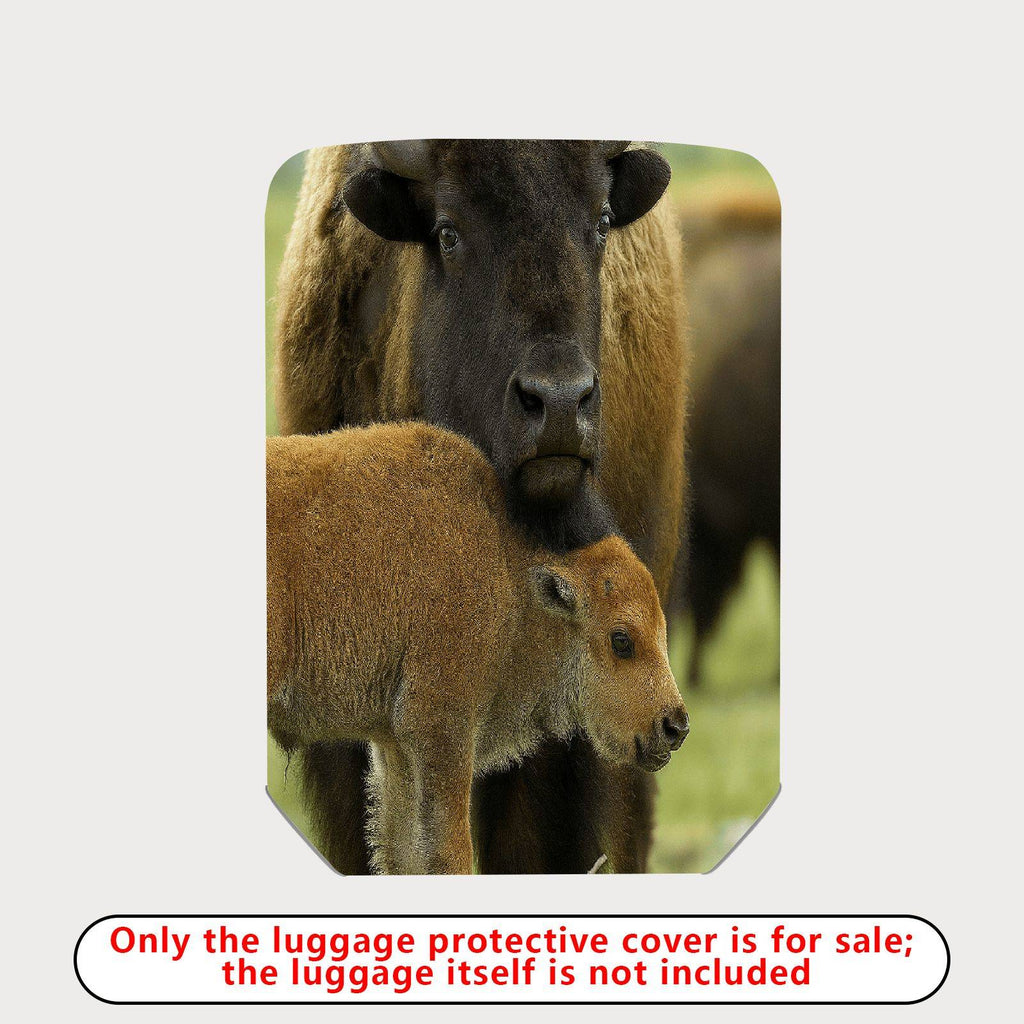 1-Piece Animal Nature Wildlife Family Buffalo Cow Calf  Suitcase Luggage Cover, Stretch Protective Sleeve