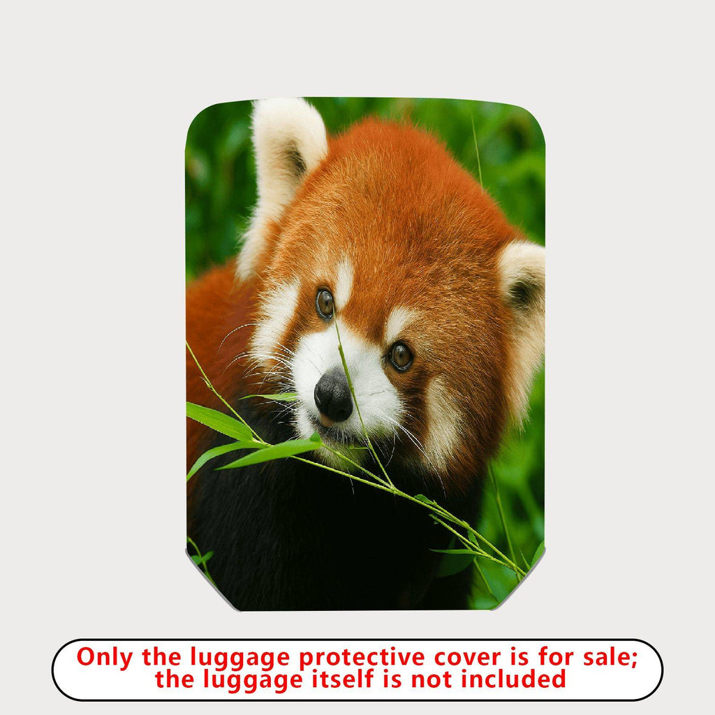 1-Piece Red Panda Nature Animal Wildlife Lush Green Cute  Suitcase Luggage Cover, Stretch Protective Sleeve