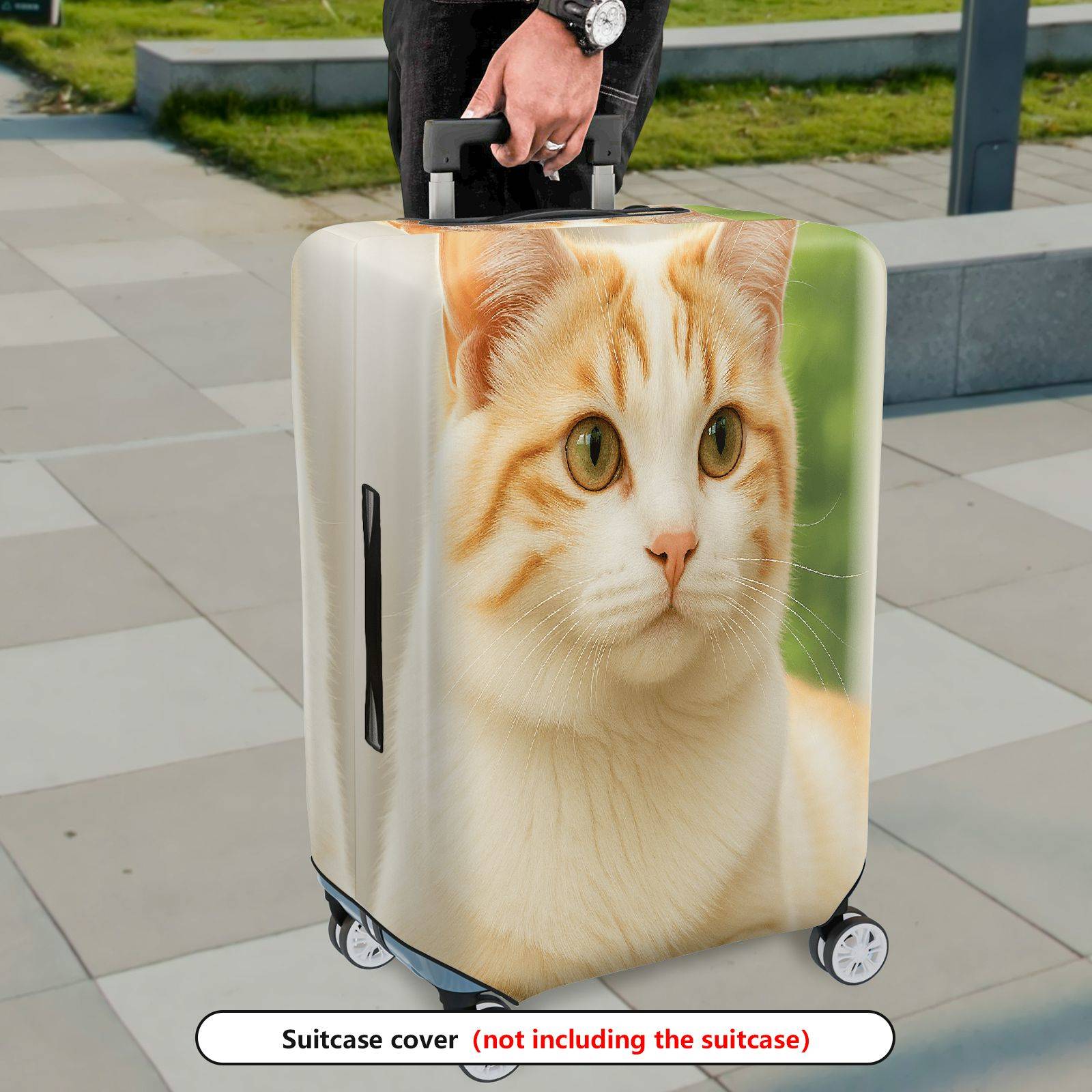 1-Piece Cute Cat Feline Animal Nature Whiskers  Suitcase Luggage Cover, Stretch Protective Sleeve